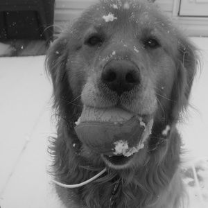 Meet your Posher, Jenni